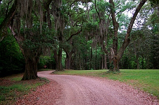 Longwood antebellum mansion Natchez MS