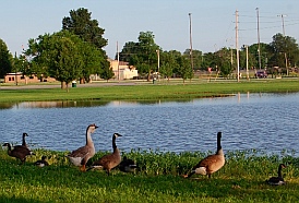 Santa Fe City Park Chanute Kansas