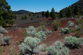 Colorful cinders in the lava flow at Sunset Crater in Flagstaff AZ