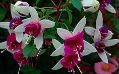 We stop and smell the flowers all the time with our fulltime RV lifestyle