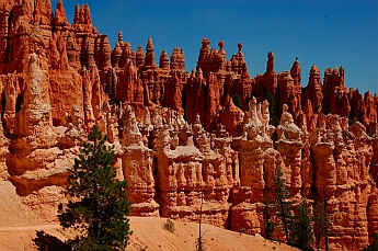Seeming chess pieces at Bryce Canyon