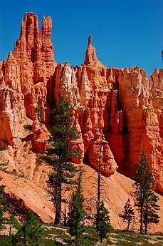 Spires and spikey trees surrounded us at Bryce Canyon, Utah