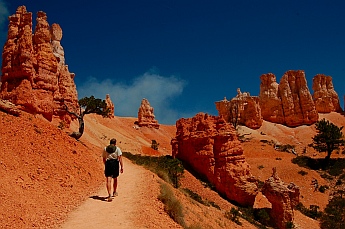 Serenity along the hiking trails at Bryce Canyon