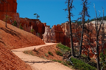 The Peek-a-boo hike at Bryce Canyon defies nature's laws and seems to ascend for the entire loop.