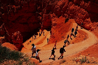 Looking down from the top of the Wall Street switch backs at Bryce Canyon, Utah