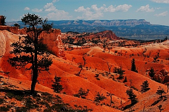 The spires give way to a smooth, orange and red moonscape at Bryce Canyon, Utah
