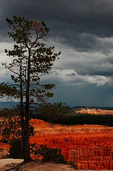 Rim views, Bryce Canyon, Utah