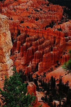 Stunning views at Bryce Canyon, Utah