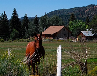 Alton, Utah