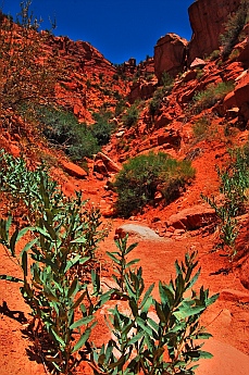 Squaw Trail, Kanab, Utah