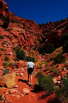 Squaw Trail, Kanab, Utah