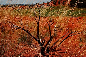 Kanab, Utah