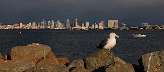 Shelter Island Harbor San Diego where we boondock in our fifth wheel RV