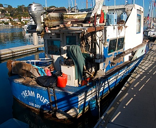 Boats at the Transient Dock in San Diego harbor