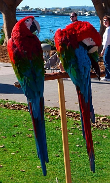 Seaport Village San Diego CA