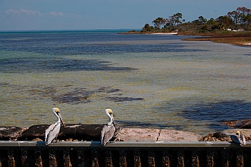 St. Joseph State Park Florida