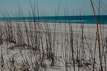 St. Joseph State Park FL