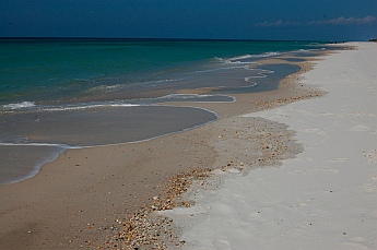 Gulf Coast St. Joseph State Park FL