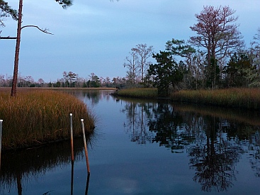 Ochlockonee River State Park