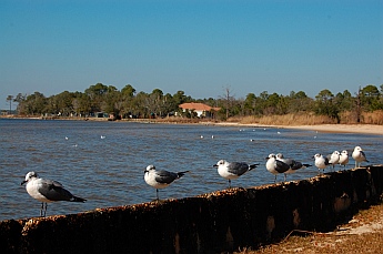 Florida Panhandle