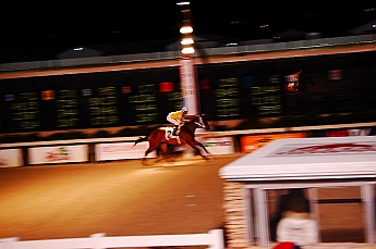 Delta Downs Casino Horse Races
