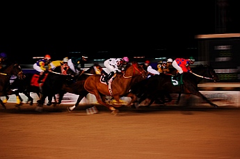 Delta Downs Horse Races