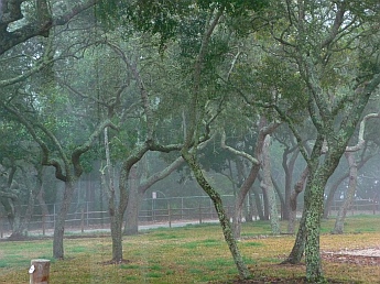 Lake Powell City Park Panama City Florida