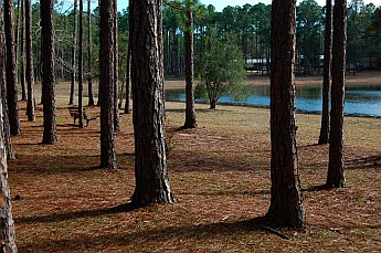 Pine Log State Park Panama City Florida