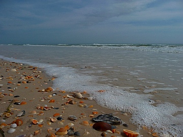 St. George Island State Park Forgotten Coast