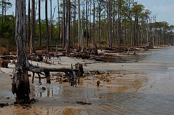 St. George Island State Park Forgotten Coast