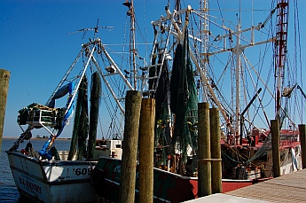 Apalachicola Florida oyster boats