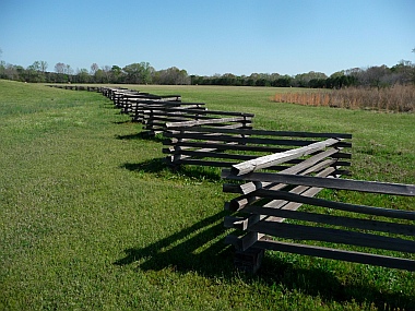 Farms along Natchez Trace Parkway, Mississippi