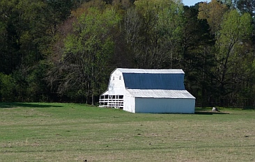 Farms along Natchez Trace Parkway, Mississippi
