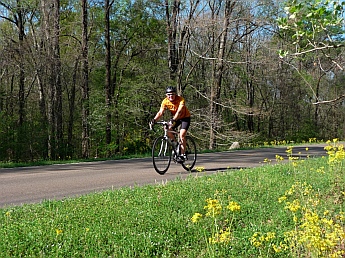 Cycling on Natchez Trace Parkway, Mississippi