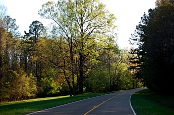 Driving along Natchez Trace Parkway, MS