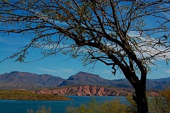 Campground at Roosevelt Lake Arizona