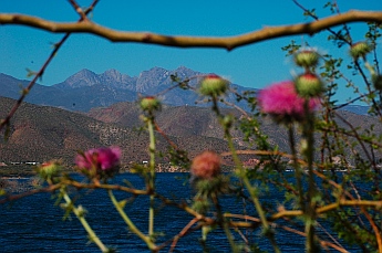 Hike along Roosevelt Lake