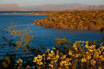 Roosevelt Lake Arizona kayaking