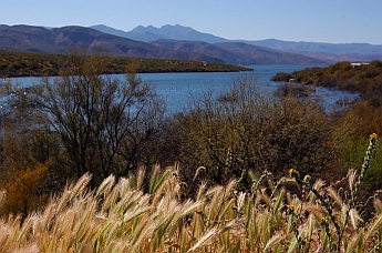 Roosevelt Lake Arizona Tonto National Forest Campgrounds