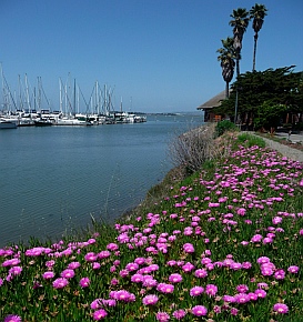 Emeryville, San Francisco Bay, California