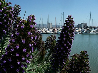 Emeryville, California