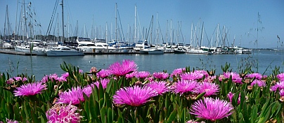 Emery Cove Yacht Harbor