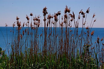 Lake Erie shore Canada