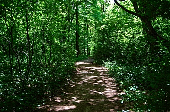 Pyramid Point Michigan Hike