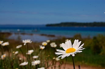 Old Mission Peninsula Michigan