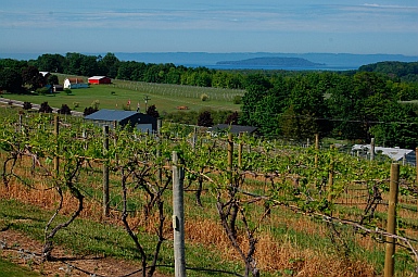 Chateau Chantal vineyard Traverse City Michigan