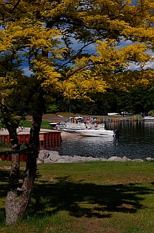 Higgins Lake campground Michigan