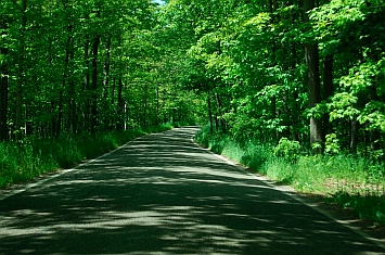 The Tunnel of Trees scenic drive Michigan