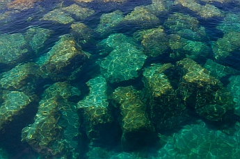 Lake Michigan's clear water