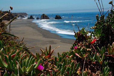 Gorgeous beaches at Westport-Union State Park CA California